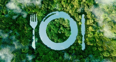 Qu'y a-t-il derrière le label bio ? Qu'y a-t-il derrière le label bio ?